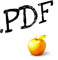 The book, a PDF