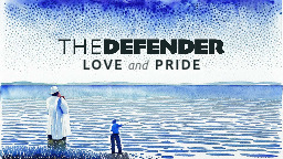 The Defender